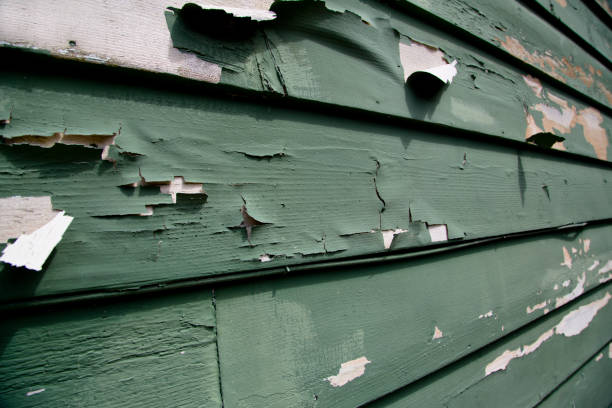 Best Recycling Services for Junk  in Enosburg Falls, VT