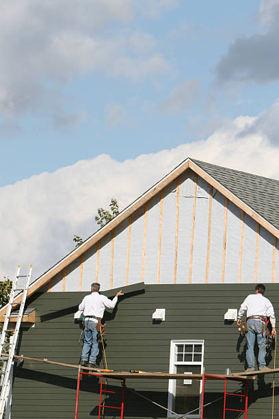 Best Hoarding Cleanup  in Enosburg Falls, VT